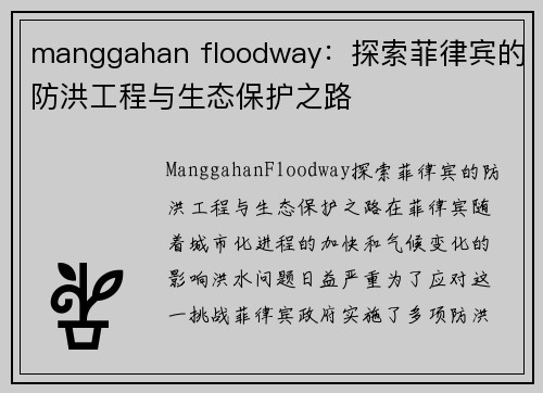 manggahan floodway：探索菲律宾的防洪工程与生态保护之路